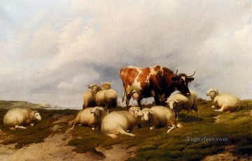A Cow And Sheep On The Cliffs farm animals cattle Thomas Sidney Cooper Oil Paintings